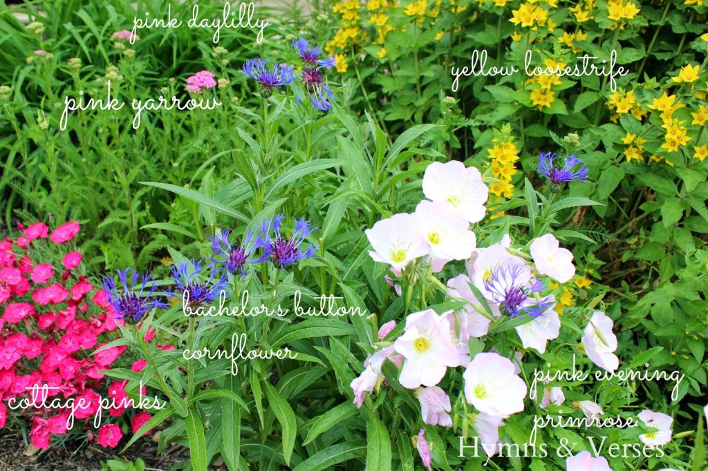 Cottage Perennial Garden Part 2 Hymns and Verses