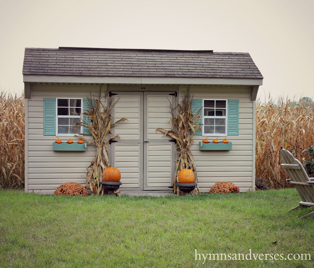 Fall Outdoor Decor - Garden shed with cornshocks, mums, and pumpkins