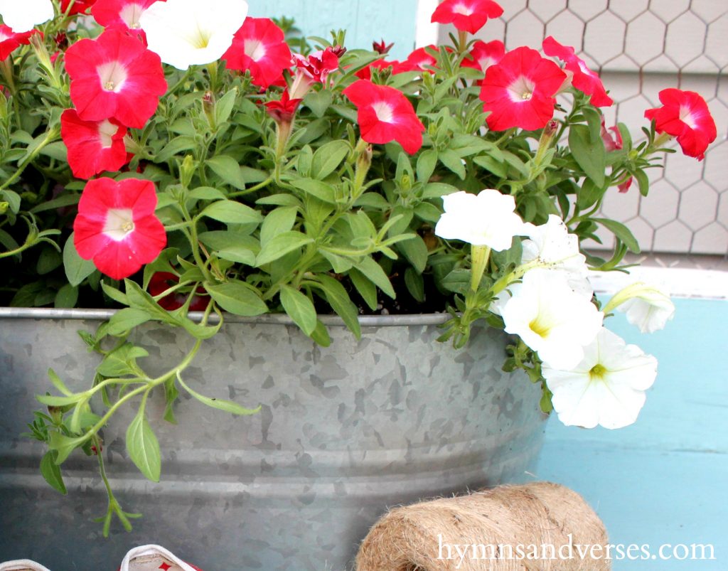 RCottage Farmhouse Garden Ideas - Red, White & Aqua Blue Potting Benche - Petunias