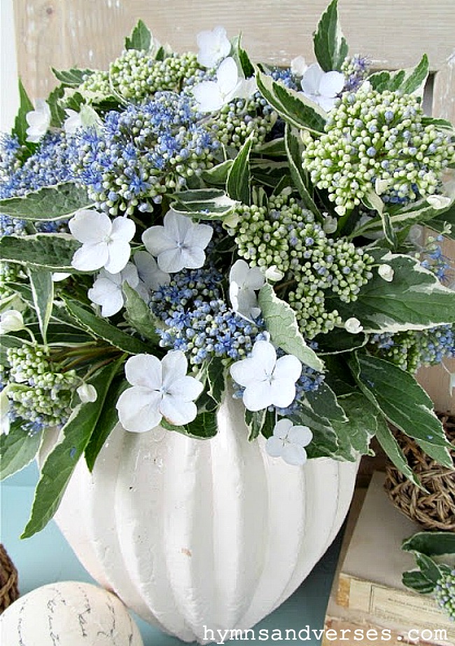 Blue Lacecap Hydrangea Arrangement - Prune Lacecap Hydrangea