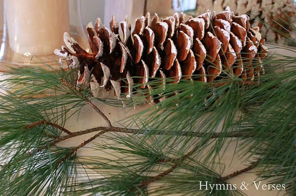 Cozy Winter Home - Pine Cone