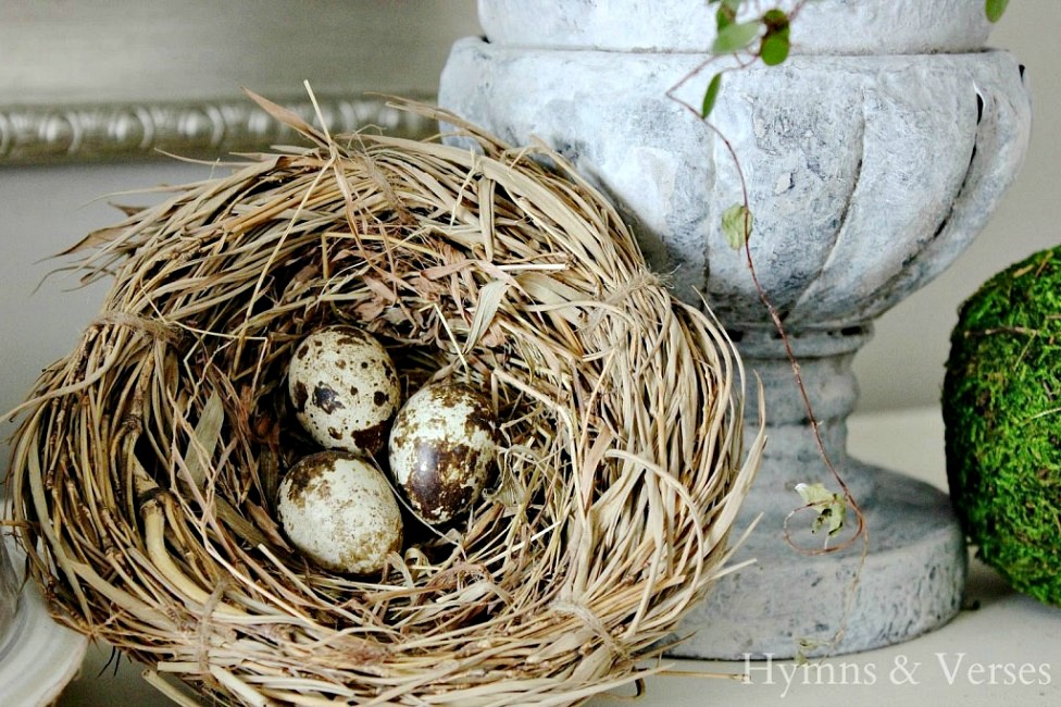 Faux bird nest and eggs in home decor - Hymns and Verses