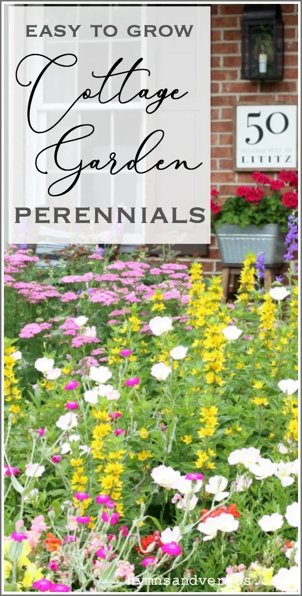 Easy to Grow Cottage Garden Perennials