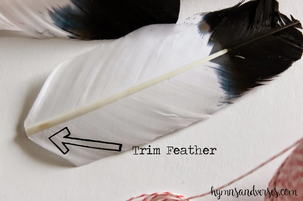 Feather Arrow