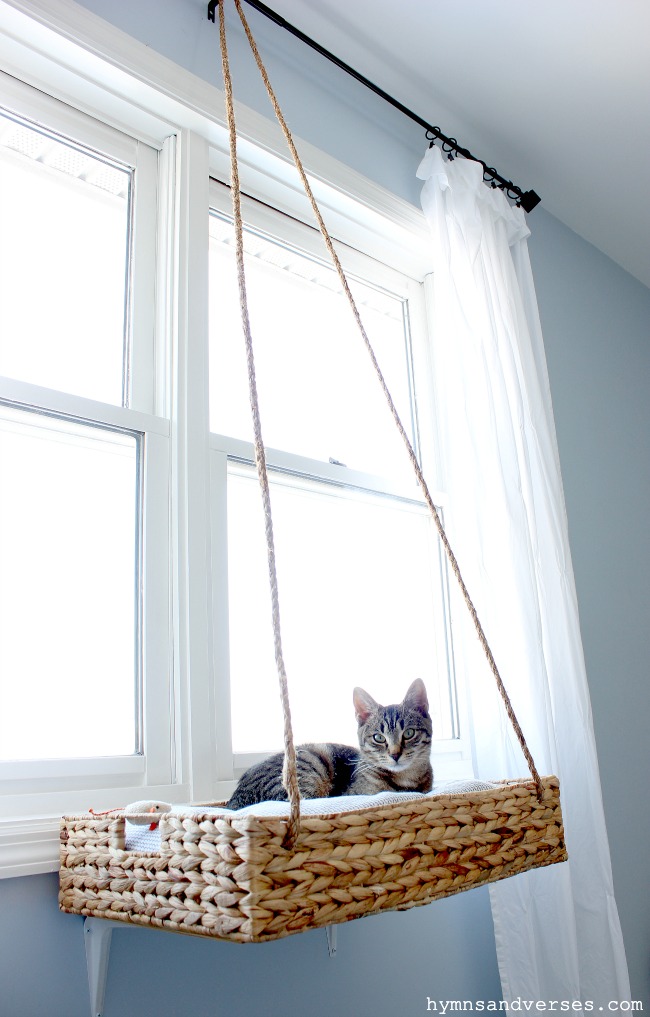 Hanging cat bed hot sale diy