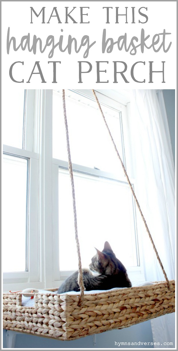 Cat Window Perch DIY Your Cat Will Love This Hymns and Verses