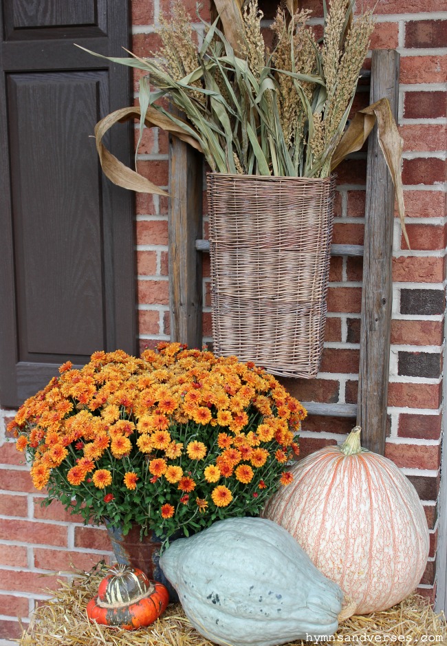 Old Ladder with Basket of Corn Shocks, Fall Mum, and Pumpkins by Front Door.