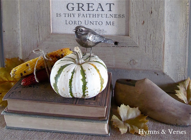 Pumpkin & Gourd