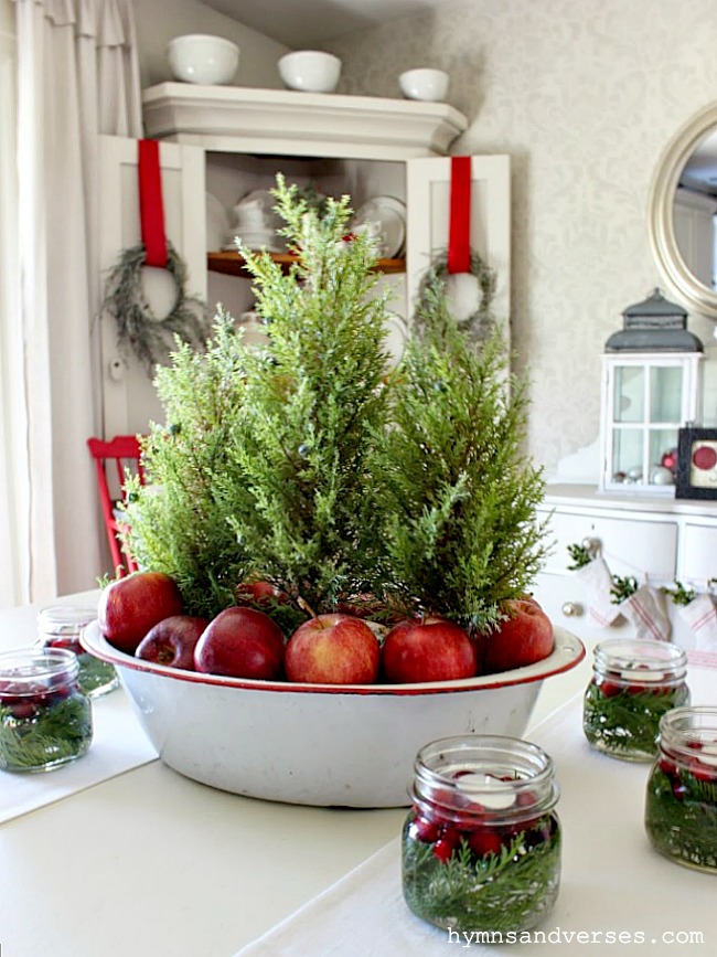 Red and White Enamelware Basin with Red Apples and Small Cedar Trees at Christmas