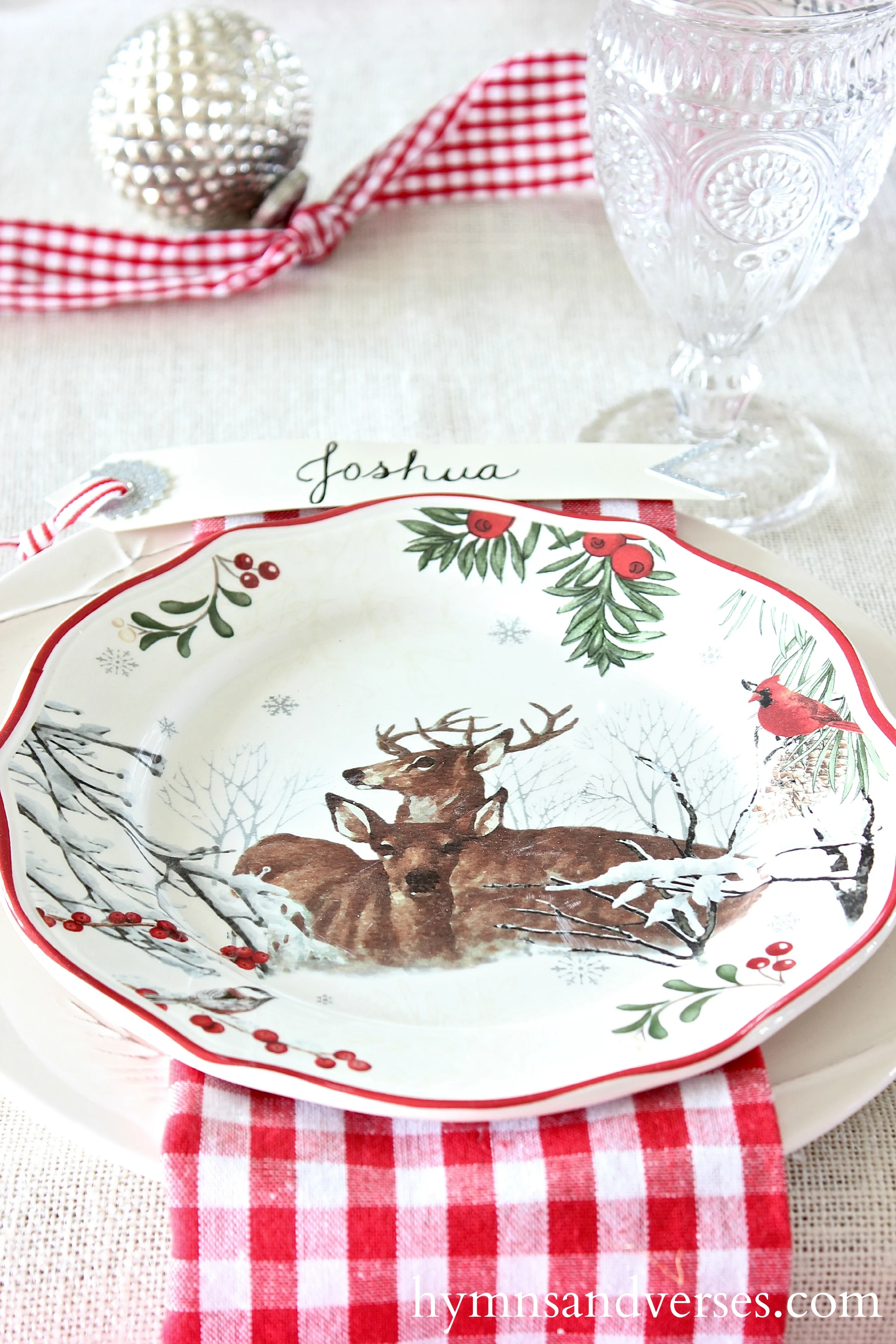 Christmas Reindeer Place Setting