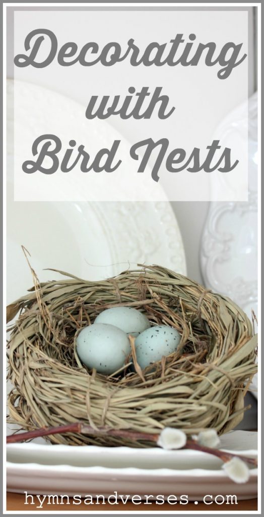 Decorating with Bird Nests for Spring