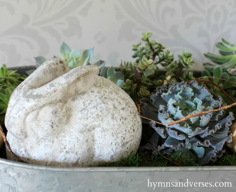 Concrete bunny in Spring succulent garden