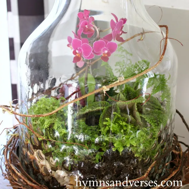 Spring DIY Terrarium with Mini Orchid - Hymns and Verses