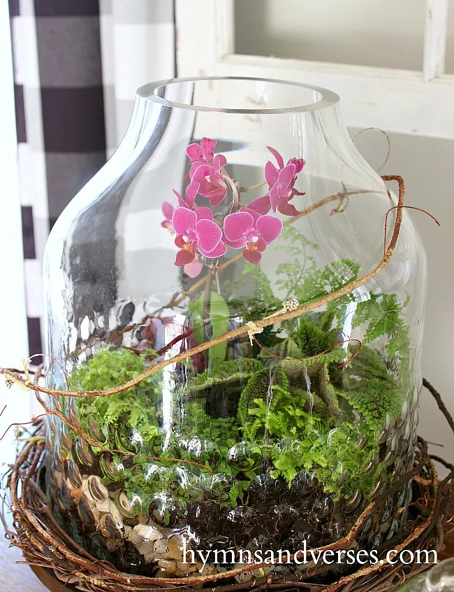 DIY Terrarium for Spring with Mini Orchid and Small Plants - Hymns and Verses