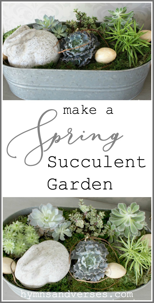 Make a Spring Succulent Garden