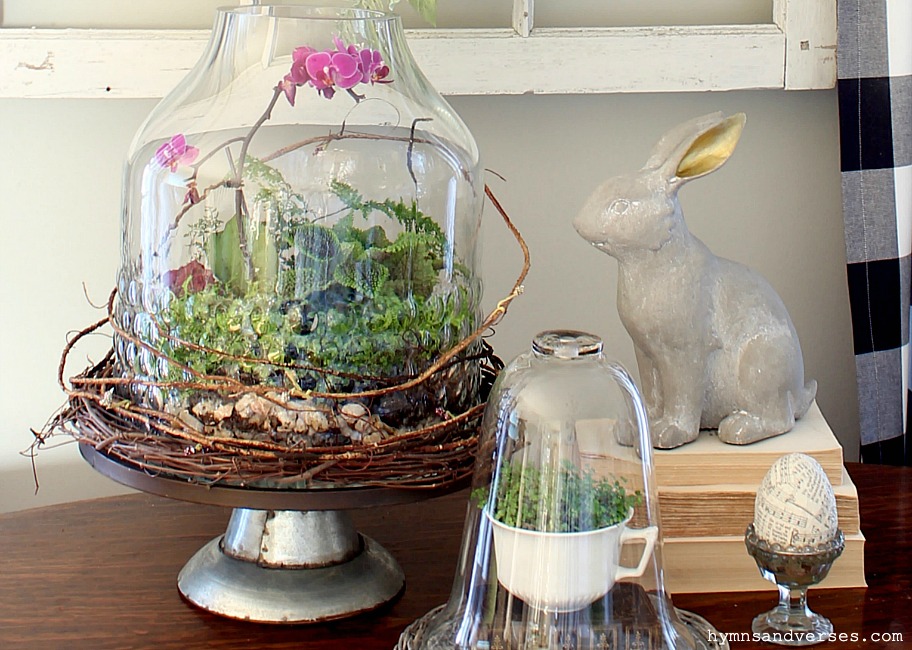 Spring Mini Orchid Terrarium on Tin Cakestand and Grapevine - Hymns and Verses