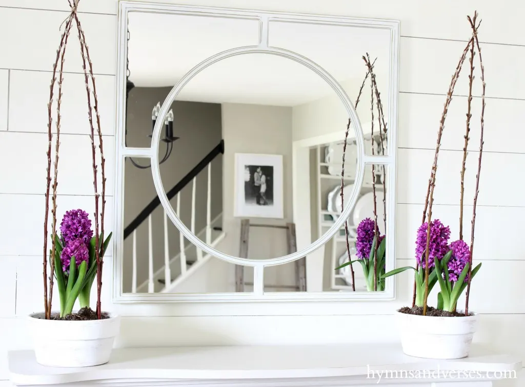 Willow Branch Caged Hyacinth Spring Home Tour