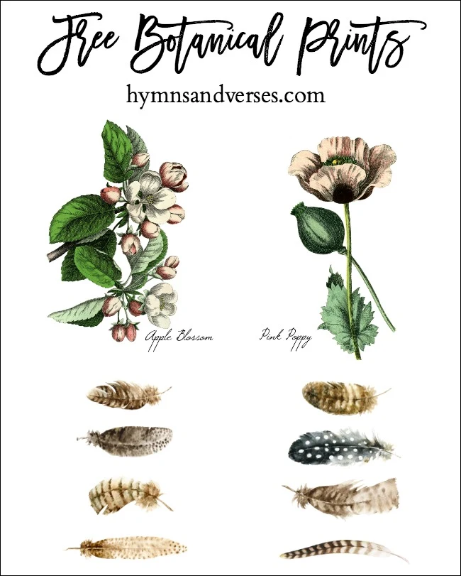 Free Botanical Prints Graphic