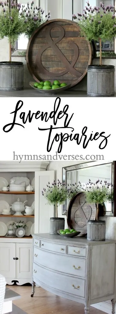 lavender topiaries