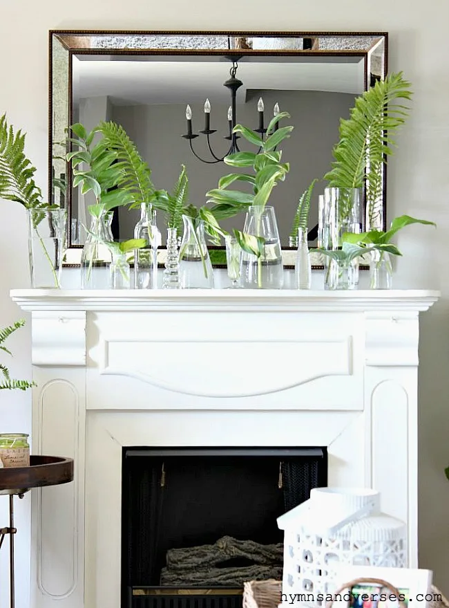 Spring Botanical Mantel Decor with Plant Cuttings in Glass Vases