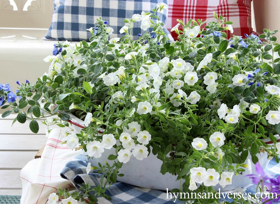 Vintage white and red enamelware basin with white and blue flowers for summer.