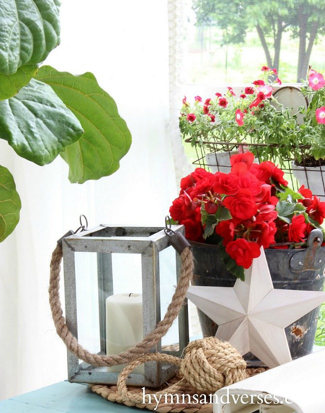 Tin bucket of red begonias, galvanized lantern, wood star, and rope knot.