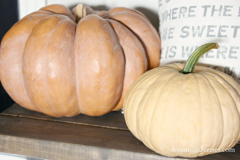 Heirloom Pumpkins Painted Pumpkins