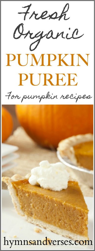 Pumpkin Puree - Pumpkin Recipes