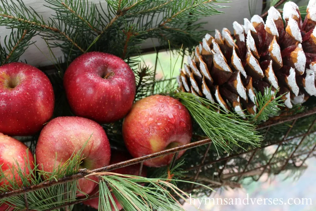 Wire Window Boxes - Cozy Christmas Porch