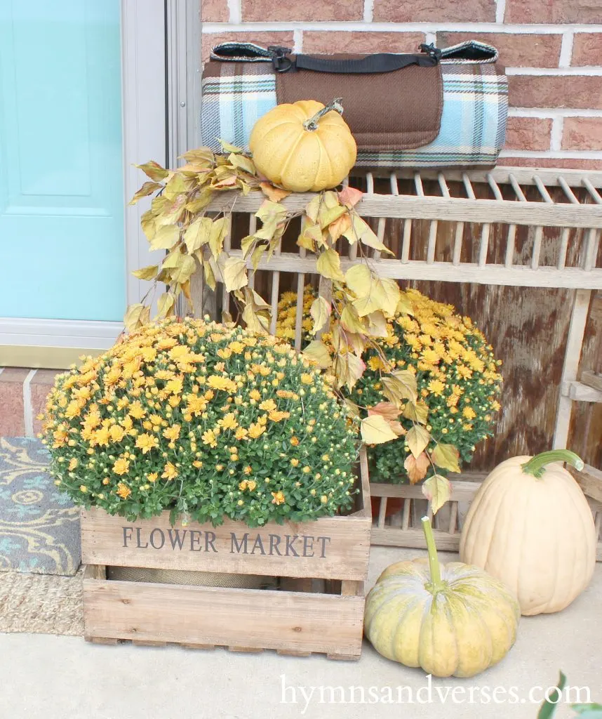 Fall Front Porch - Amber Mums