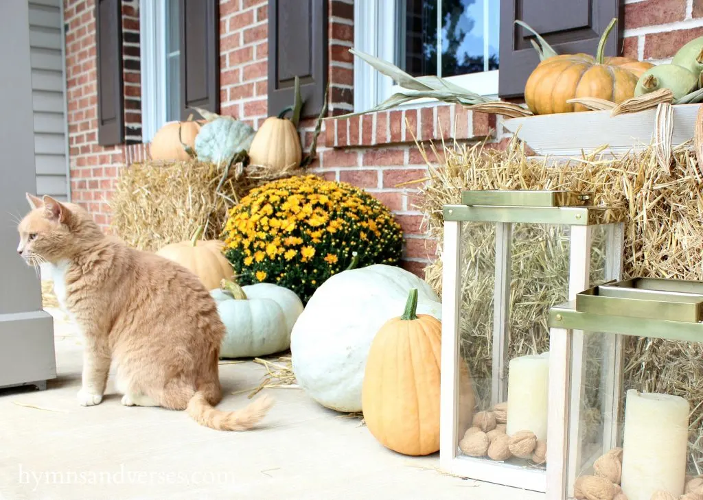 Fall Front Porch - Cat