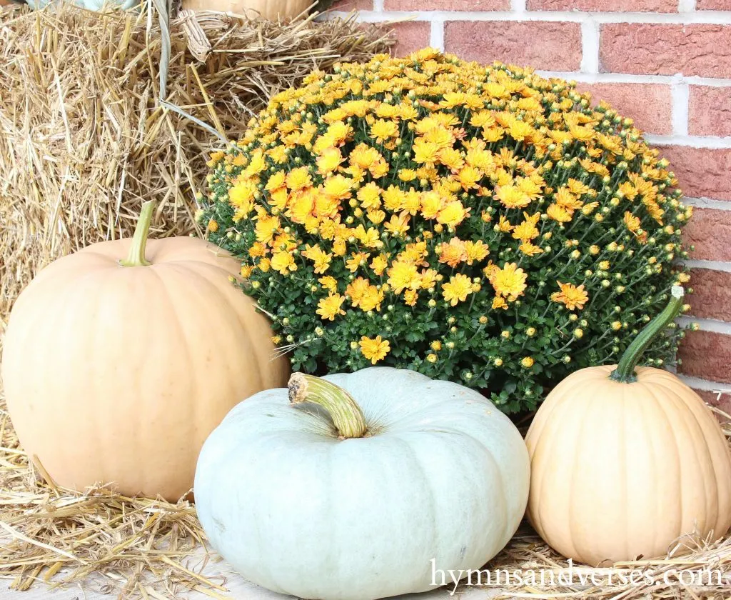 Fall Front Porch - Pale Pumpkins