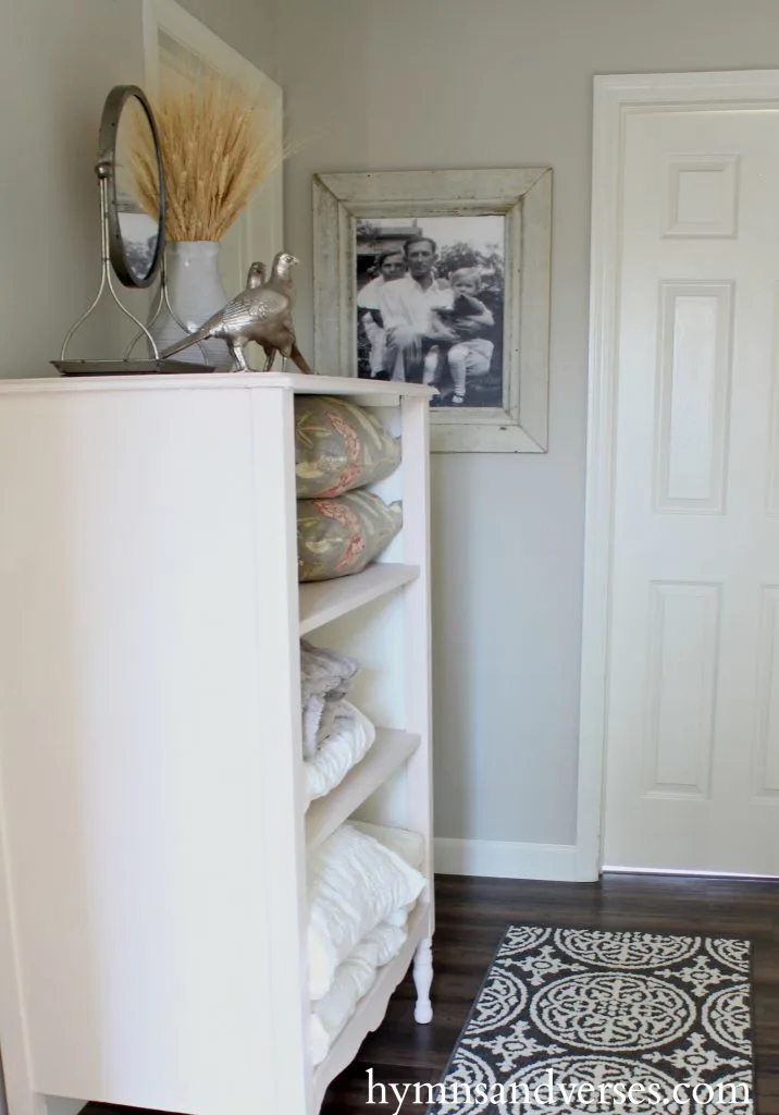 The Easiest Way To Paint Closet Shelves - Stacy Risenmay