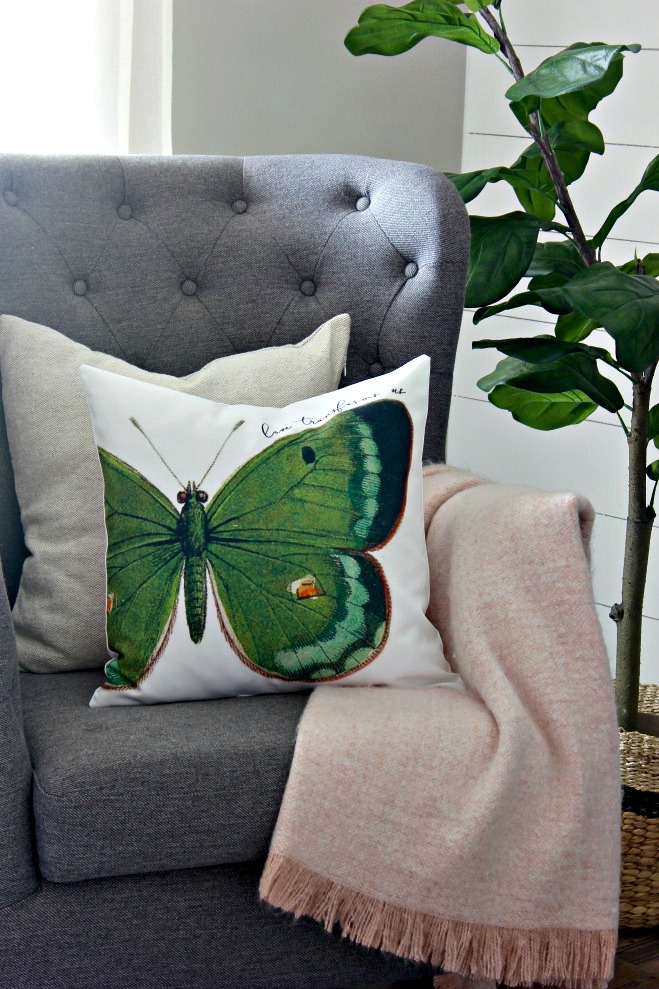 Butterfly collection pillow cover