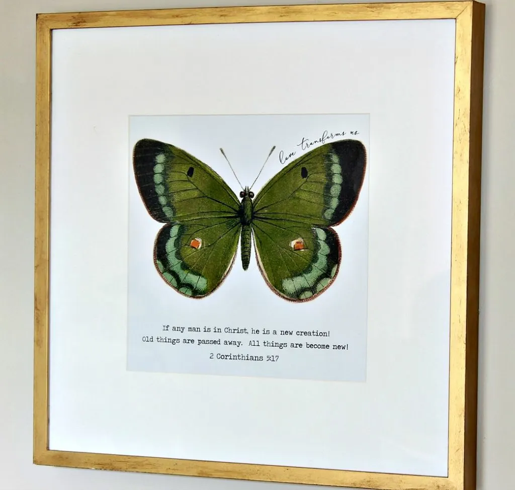 2 Corinthians 5:17 Butterfly Art Print