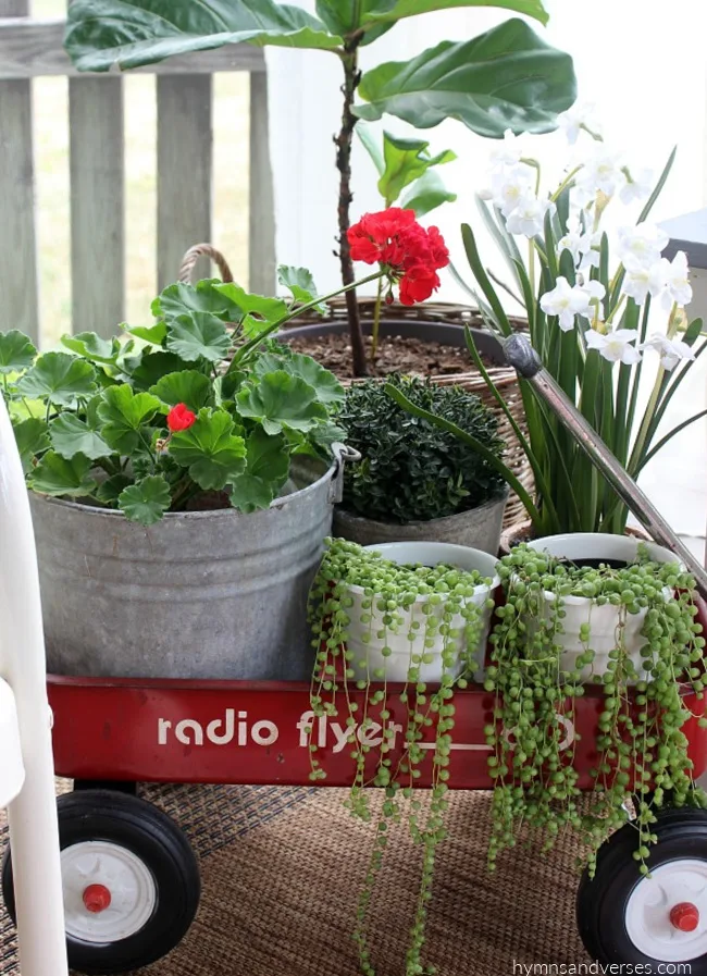 Vintage Radio Flyer Wagon holding Plants and Flowers for Summer