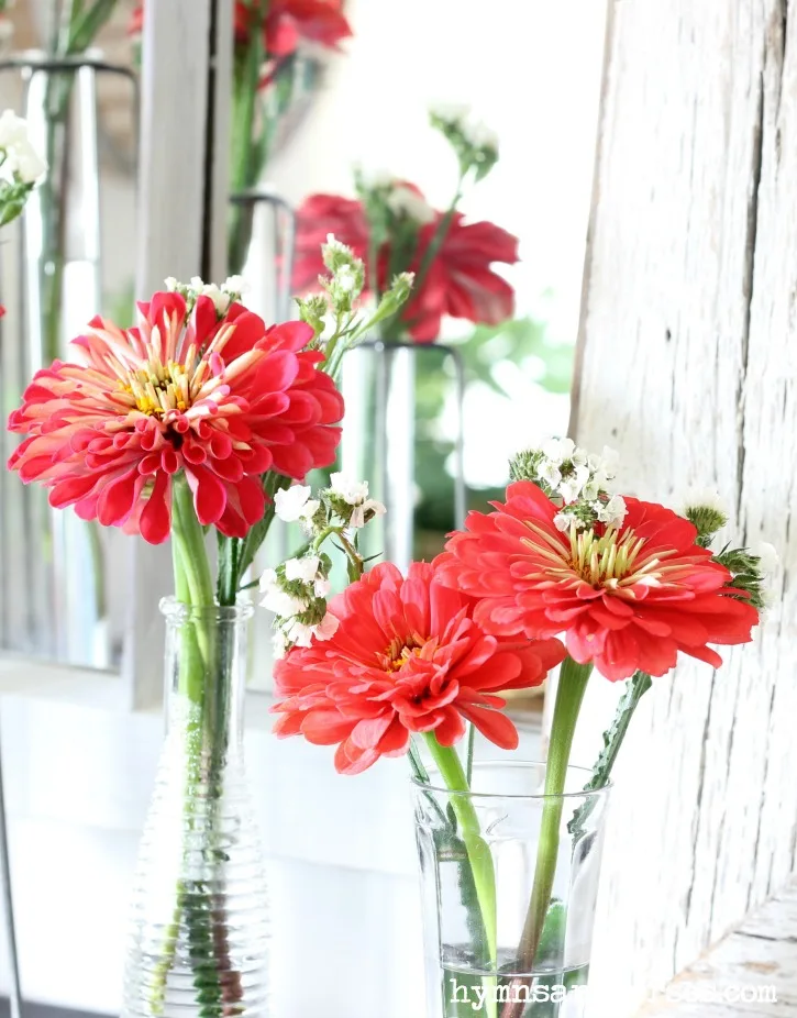 Old Fashioned Zinnias - Summer Style