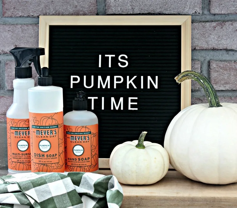 Pumpkin Soap - Clean and Scentsible