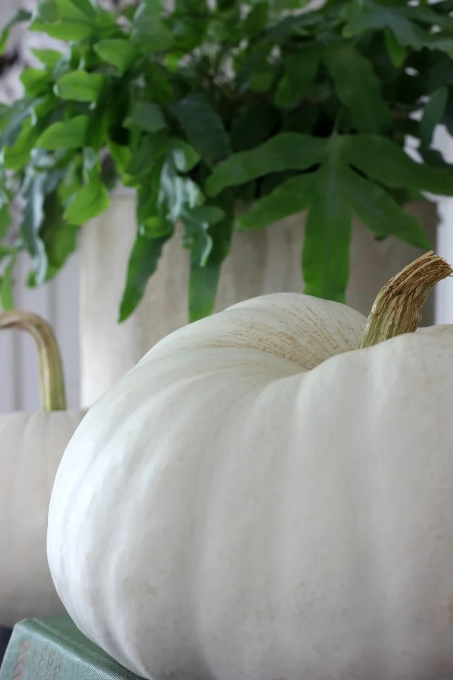 Fall Home - White Pumpkins