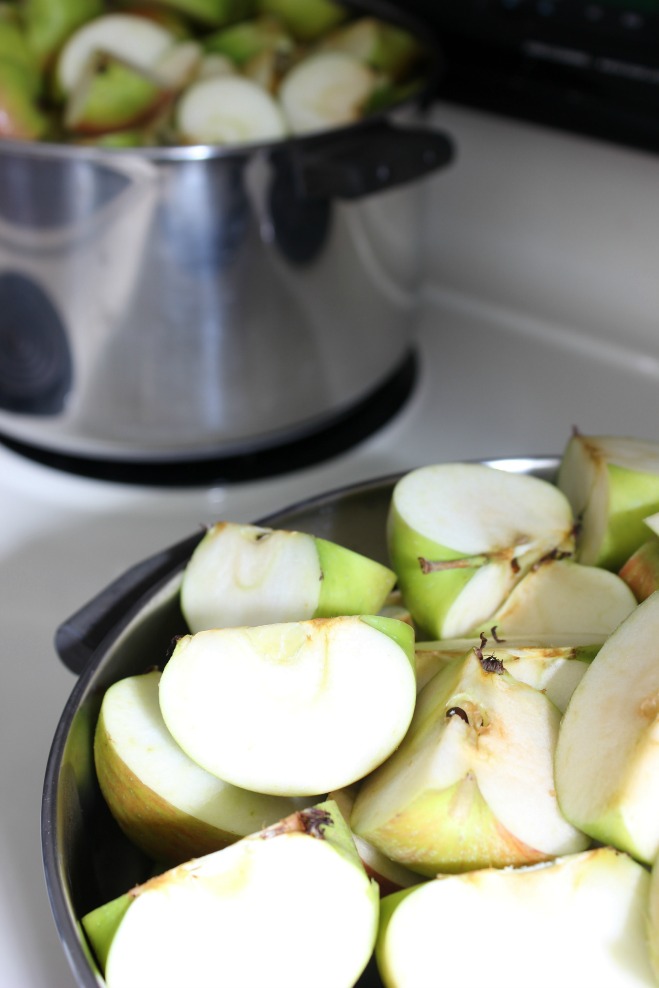 Make Homemade Applesauce with Kitchenaid Mixer