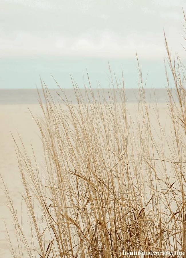 The beach in the winter at Cape May, NJ