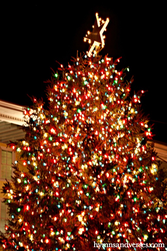 Outdoor Christmas tree at Congress Hall in Cape May, NJ