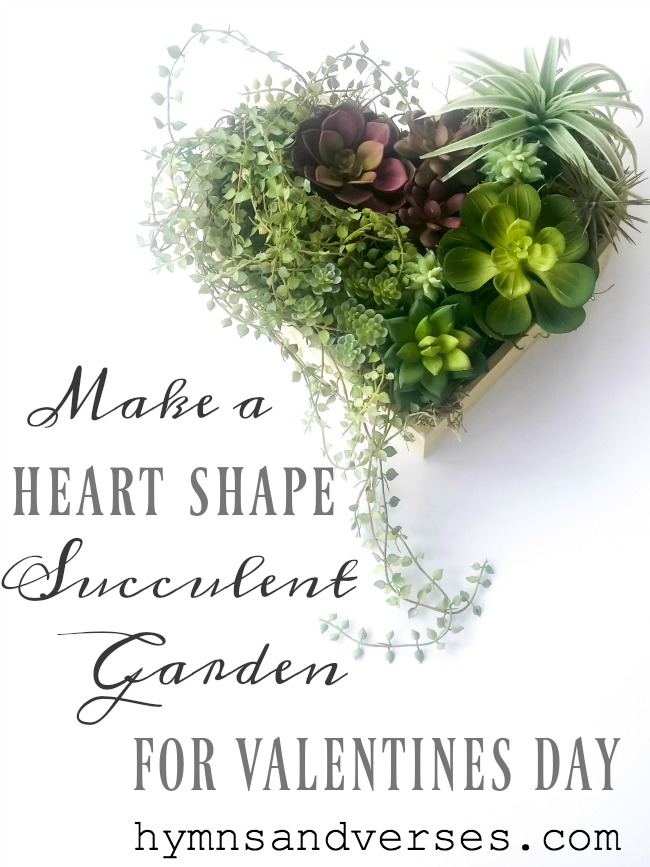 Heart Shape Succulent Planter for Valentine's Day