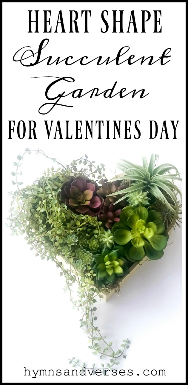 Heart Shape Succulent Garden for Valentine's Day