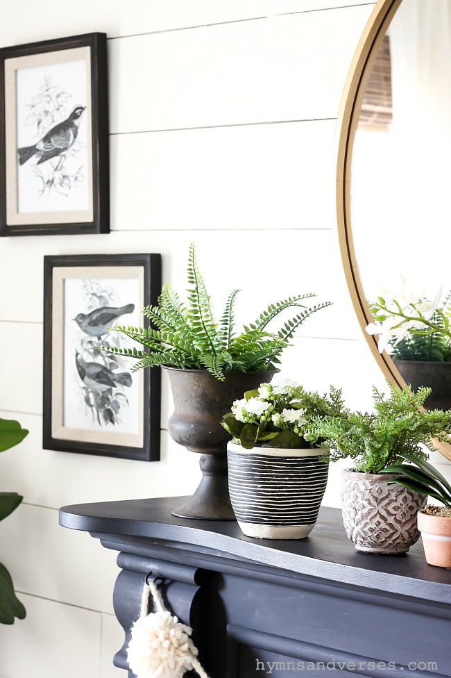 Plants on Mantel - Winter to Spring Decor