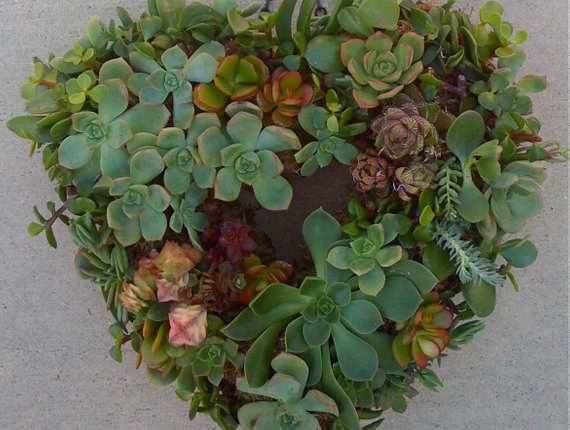 Heart Shape Succulent Wreath