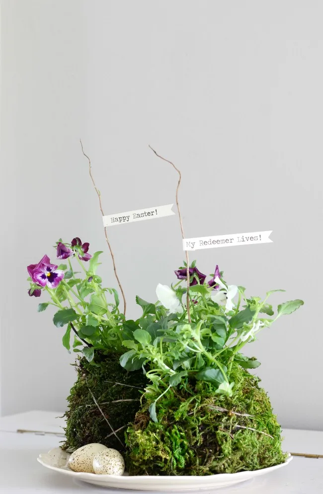 Spring Kokedama with Violas