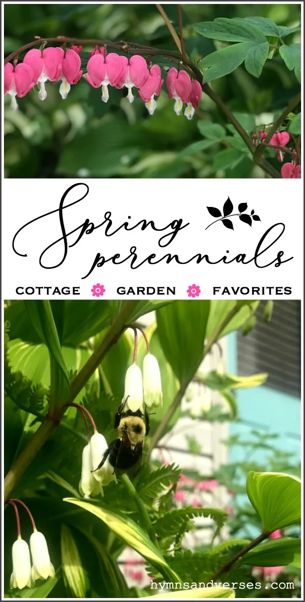 Early Blooming Spring Perennials