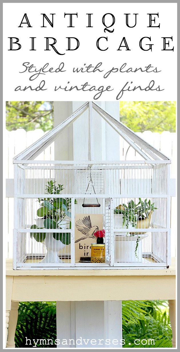 Antique Bird Cage Styled with Plants and Vintage Finds