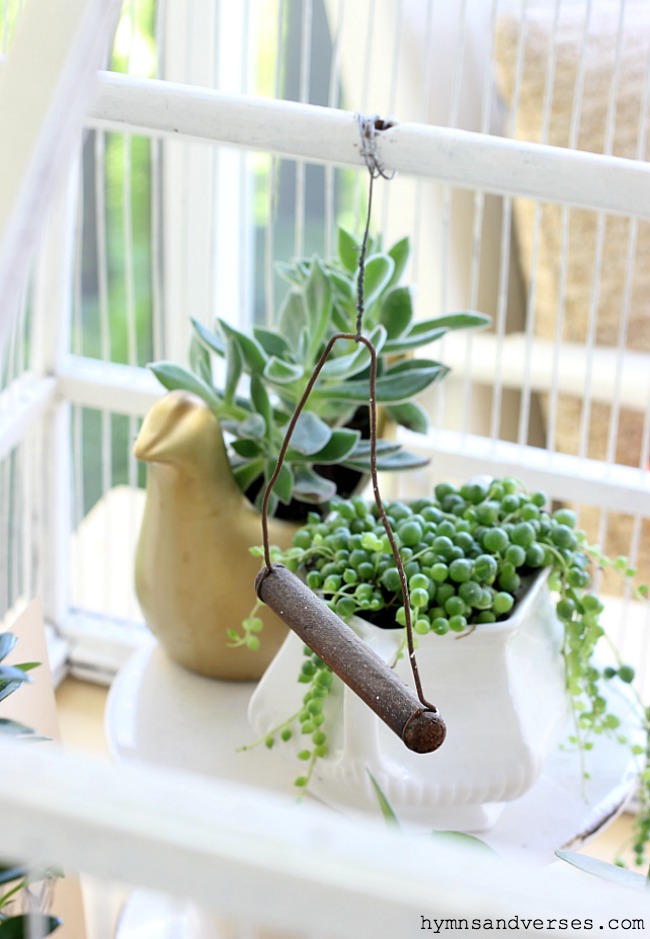 String of Pearls and Succulent planters